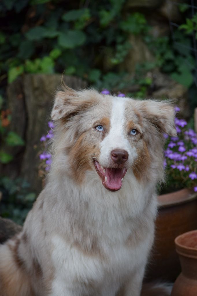 Nari need for love of the marjohrita