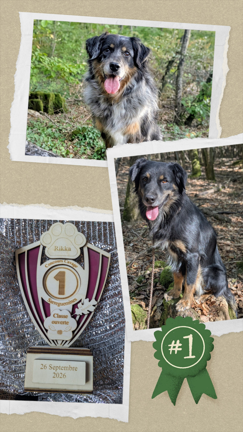 of the marjohrita - Dernier concours de recherche truffes en naturelle
